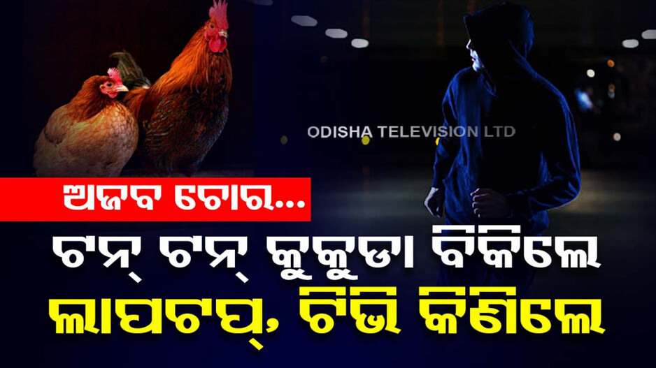 ଏମିତିକା ଚୋର !! ଚୋରି କଲେ ୧୩୩ ଟନ୍ ଚିକେନ..କିଣିଲେ ଟିଭି, ଫ୍ରିଜ୍ ଓ ଲାପଟପ୍