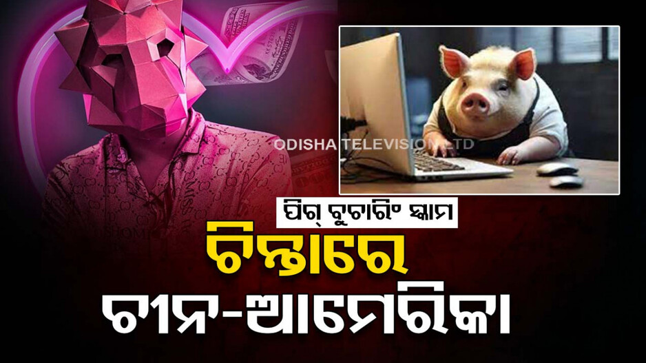 ଚିନ୍ତାରେ ଚାଇନାଠୁ ଆମେରିକା ! ମାତିଛନ୍ତି ଇଣ୍ଟରନେଟ ସ୍କାମର, ଆକାଉଣ୍ଟ କରୁଛନ୍ତି ଖାଲି