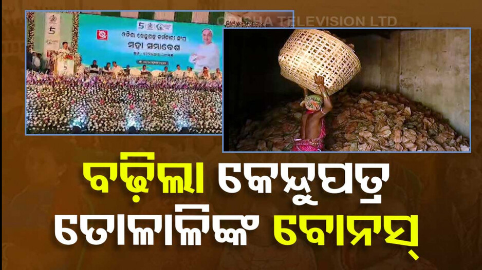 କେନ୍ଦୁପତ୍ର ତୋଳାଳୀଙ୍କ ପାଇଁ ପ୍ୟାକେଜ୍‌ ଘୋଷଣା କଲେ ମୁଖ୍ୟମନ୍ତ୍ରୀ