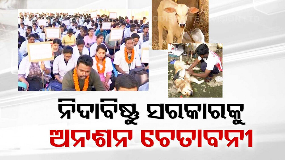 ରାଜ୍ୟବ୍ୟାପୀ ଠପ୍ ପ୍ରାଣୀ ଚିକିତ୍ସା