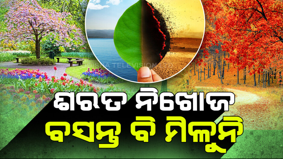 ପିଲାଙ୍କୁ କେମିତି ବୁଝେଇବେ ଶରତ କିଏ ? ପତ୍ତା ମିଳୁନି...