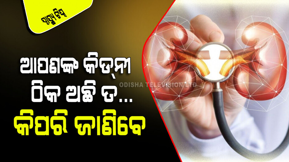 Health Tips: କିପରି ଜାଣିବେ ଆପଣ କିଡ୍‌ନୀ ରୋଗରେ ପୀଡିତ କି ନାହିଁ