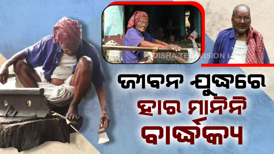 କମାର ଶାଳରେ ଶତାୟୁ