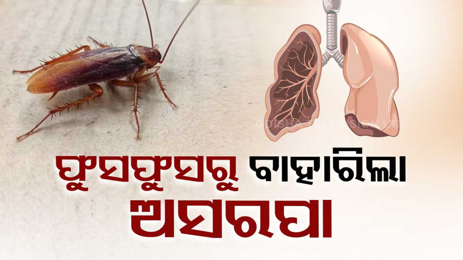 ଫୁସ୍‌ଫୁସ୍‌ରୁ ବାହାରିଲା ଅସରପା, ଜାଣନ୍ତୁ ଶରୀର ଭିତରକୁ ଯାଇଥିଲା କେମିତି...