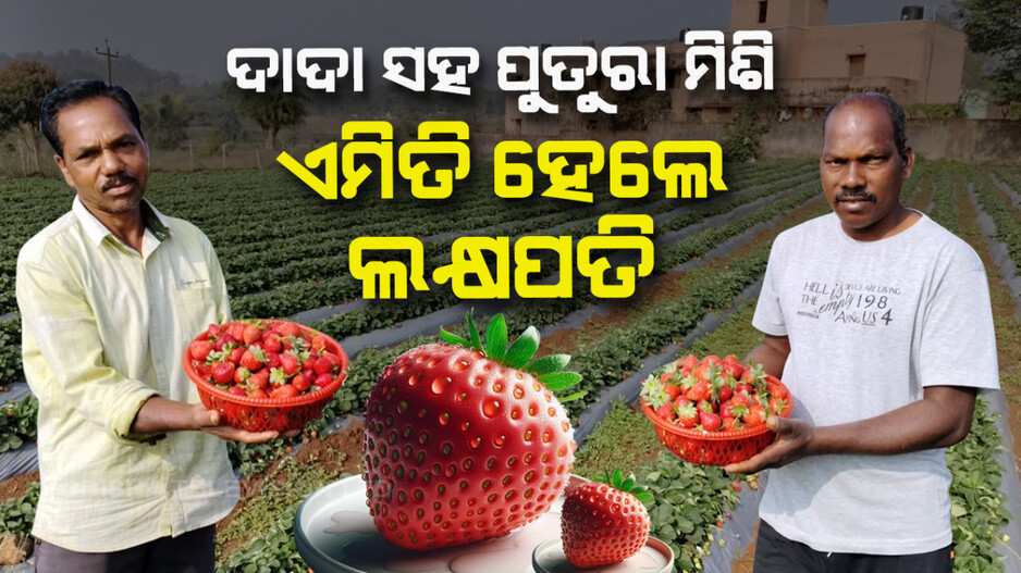 ଦାଦା ସହ ପୁତୁରା ମିଶି.. ଏମିତି ହେଲେ ଲକ୍ଷପତି