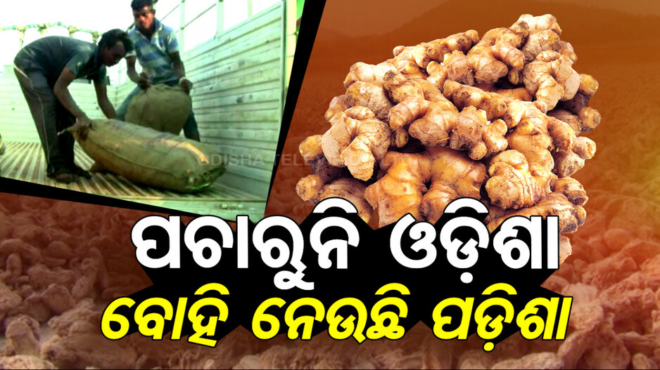 ପଚାରୁନି ଓଡ଼ିଶା, ବୋହି ନେଉଛି ପଡ଼ିଶା
