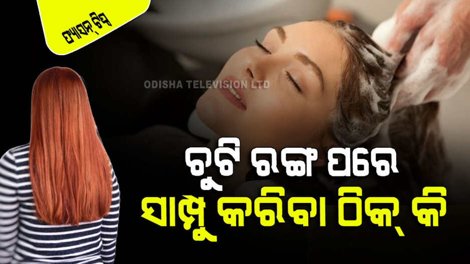 Hair Color Tips: ଚୁଟିକୁ ରଙ୍ଗ କରିବା ପରେ ସାମ୍ପୁରେ ଧୋଇବା ଉଚିତ ନା ନାଇଁ; ଜାଣନ୍ତୁ ଟିପ୍ସ