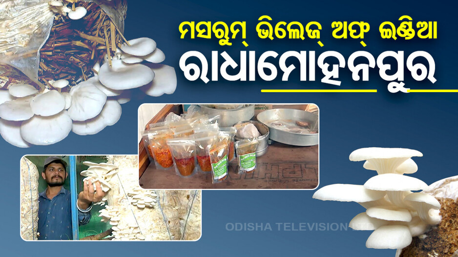 ମସରୁମ୍ ଭିଲେଜ୍ ଅଫ୍  ଇଣ୍ଡିଆ