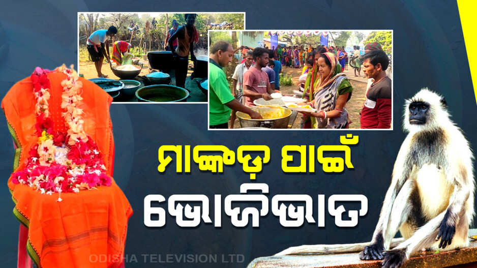 ମାଙ୍କଡ଼ ପାଇଁ ଭବ୍ୟ ଅୟୋଜନ; ୬ ଖଣ୍ତ ଗାଁ ପାଳିଲା ଏକାଦଶାହ