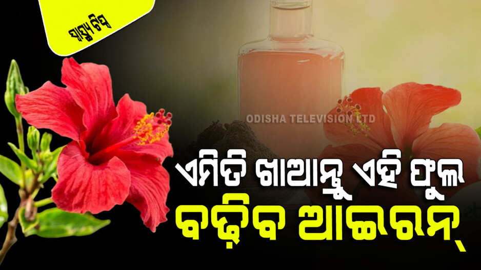 Health Tips: ଇମ୍ୟୁନିଟିକୁ ମଜବୁତ କରେ, ଚର୍ବି କମାଏ ମନ୍ଦାର ଫୁଲ; କେମିତି ଖାଇବେ ଜାଣନ୍ତୁ