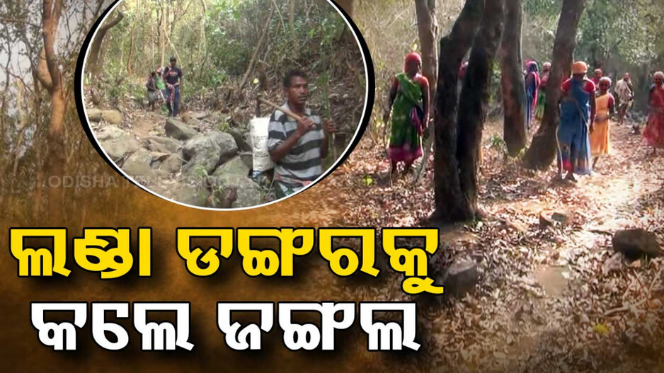 ଲଣ୍ଡା ଡଙ୍ଗରକୁ କଲେ ଜଙ୍ଗଲ