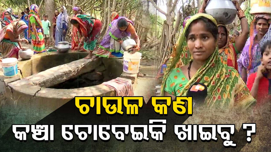 ନଳକୂଅଁ ମାରି ମାରି ଡେଣା ବଥା ହେଇଯାଉଛି