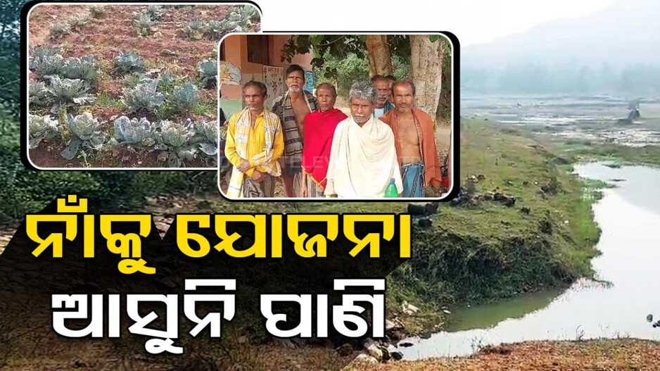 କ୍ଷୋଭର ସହ କହୁଛି ଚାଷୀ; ସରକାର ନେଉଛନ୍ତି ଜଳକର, କେନାଲକୁ ଆସୁନି ପାଣି