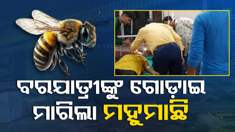 ବିବାହ ଶୋଭାଯାତ୍ରା ବେଳେ ଅଘଟଣ, ବରଯାତ୍ରୀଙ୍କୁ ଗୋଡ଼ାଇ ଗୋଡ଼ାଇ ମାରିଲା ମହୁମାଛି