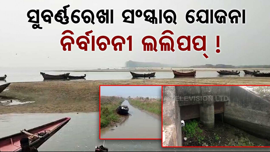 ସୁବର୍ଣ୍ଣରେଖା ସଂସ୍କାର ଯୋଜନା, ନିର୍ବାଚନୀ ଲଲିପପ୍ !