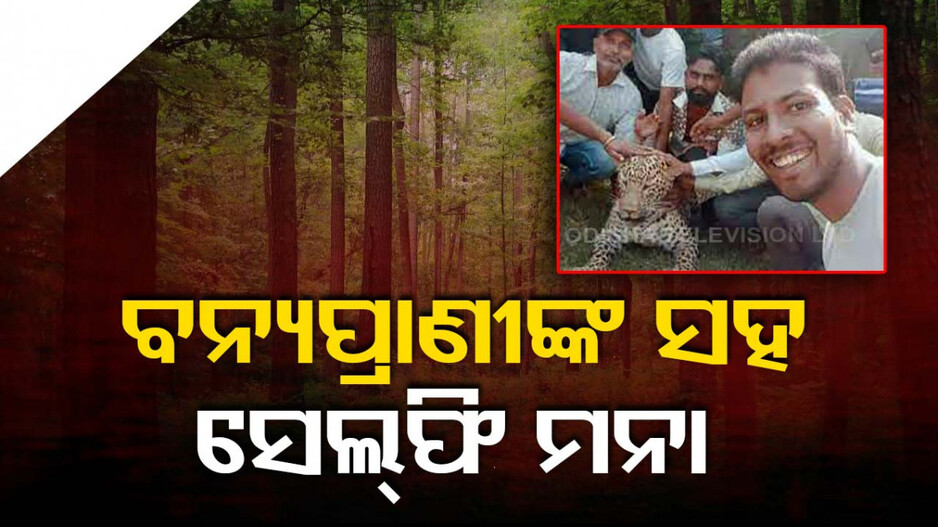ବନ୍ୟପ୍ରାଣୀଙ୍କ ସହ ସେଲ୍ଫି ମନା; ନିୟମ ଉଲ୍ଲଂଘନ କଲେ ୭ ବର୍ଷ ଜେଲ୍...