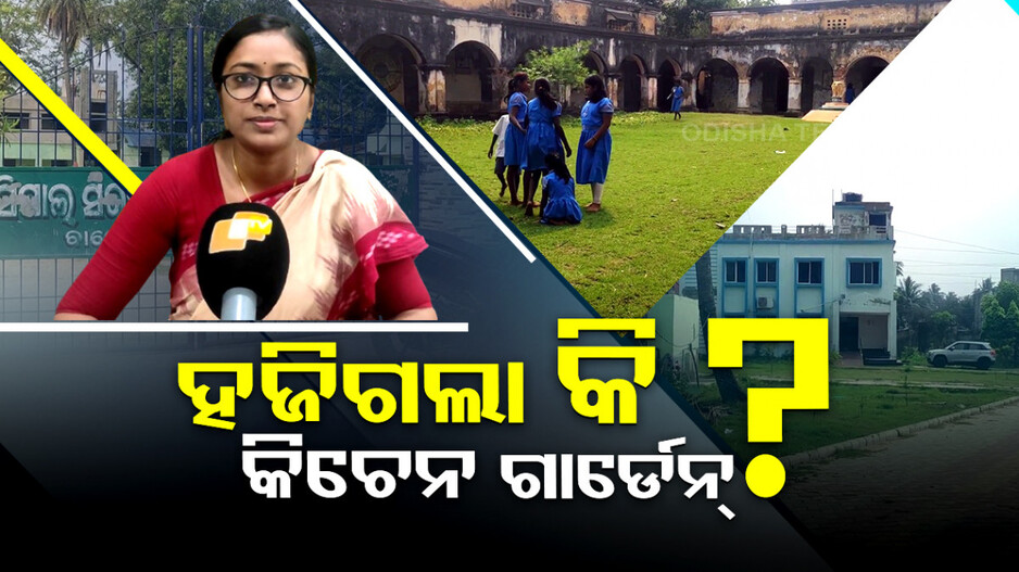 ହଜିଗଲା କି କିଚେନ ଗାର୍ଡେନ୍ ?