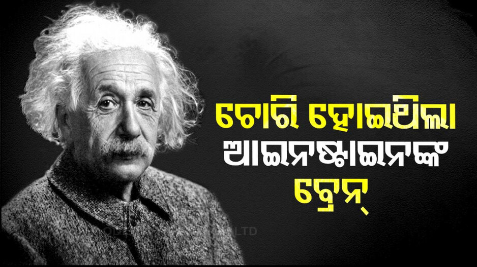 ଆଇନଷ୍ଟାଇନଙ୍କ ବ୍ରେନ୍‌କୁ ଚୋରି କରି ୨୪୦ ଖଣ୍ତ କରିଥିଲେ ଏହି ବ୍ୟକ୍ତି; ପଢ଼ନ୍ତୁ ପୂରା କହାଣୀ...