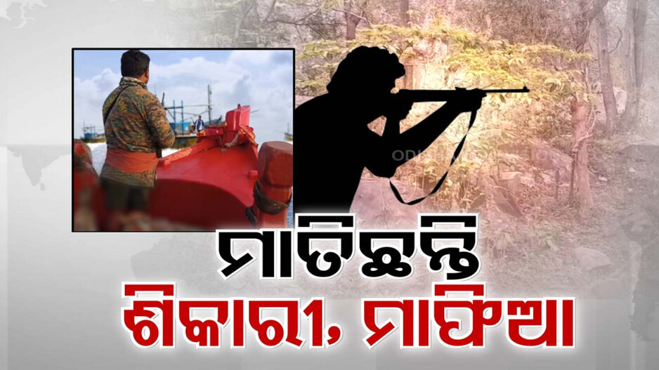 ଅଭୟାରଣ୍ୟରେ ମାତିଲେଣି ମାଫିଆ; ବନ୍ଧୁକ ମୁନରେ ଧମକାଉଛନ୍ତି, ଦରକାର ପଡିଲେ..