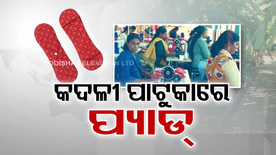 କଦଳୀ ପାଟୁକାରୁ ସାନିଟାରି ପ୍ୟାଡ୍; ବ୍ୟବହାର କଲେ..