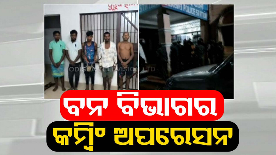 ଆକ୍ସନ ମୋଡରେ ବନ ବିଭାଗ, ରାତି ଅଧିଆ କମ୍ବିଂରେ ଶିକାରୀ ଓ ବନ୍ଧୁକ ଜବତ