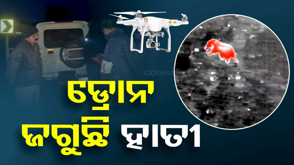 ହାତୀଙ୍କ ଗତିବିଧି ଉପରେ ନଜର ରଖୁଛି ଡ୍ରୋନ କ୍ୟାମେରା