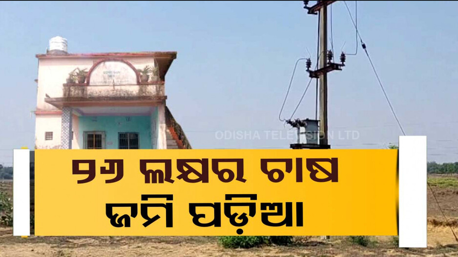 କାଗଜ କଲମରେ ପାମୋଲିନ ଚାଷ