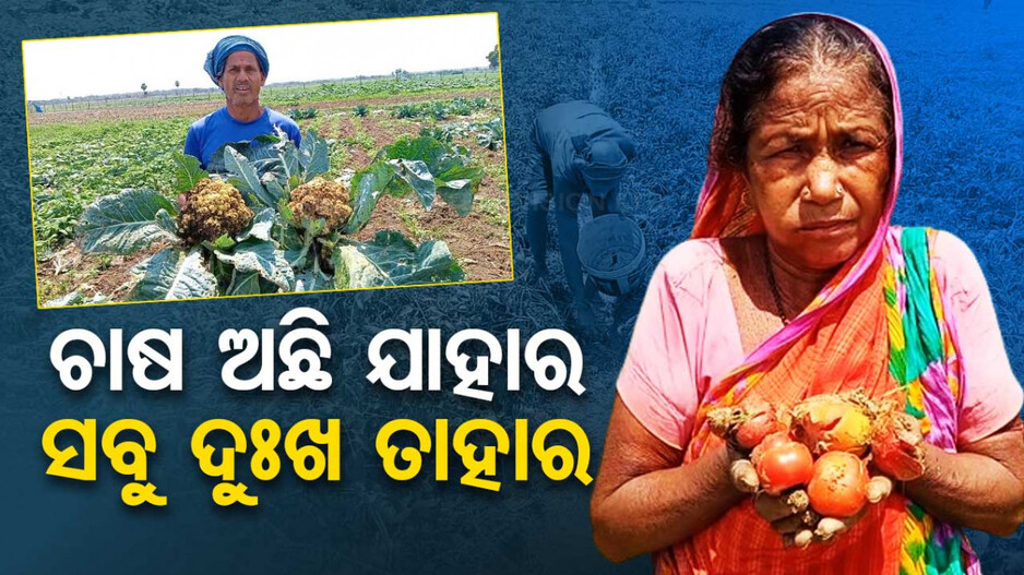 ଦାଉ ସାଧିଲା କାଳବୈଶାଖୀ