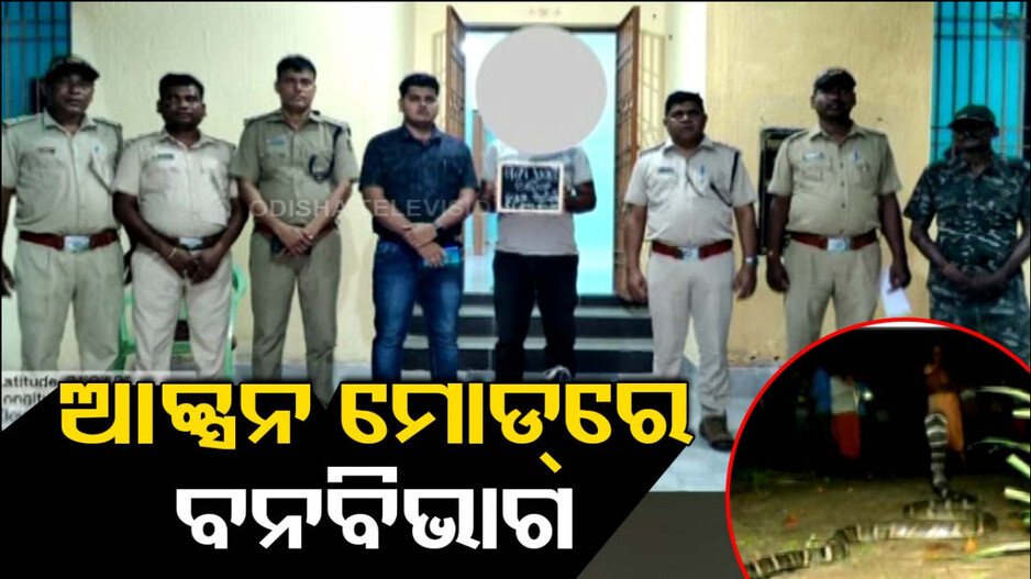 ବନ୍ୟପ୍ରାଣୀଙ୍କ ଭିଡିଓ ଥିବା ପୋଷ୍ଟ ଡିଲିଟ୍ ନକଲେ ହେବ କାର୍ଯ୍ୟାନୁଷ୍ଠାନ