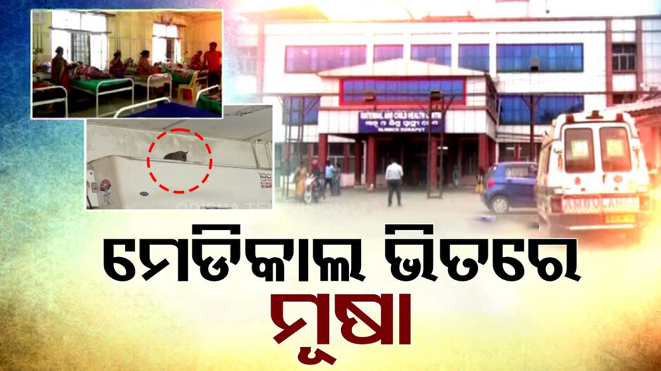 ମୂଷା କରୁଛନ୍ତି କଲବଲ, ସମସ୍ୟାରେ କୋରାପୁଟ ସହିଦ ଲକ୍ଷ୍ମଣ ନାୟକ ମେଡିକାଲ କଲେଜ