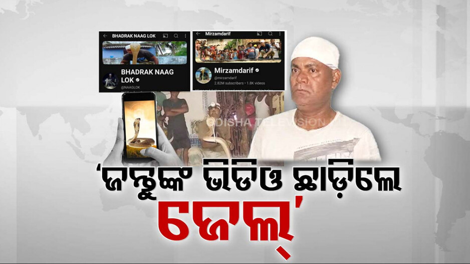 ସୋସିଆଲ ମିଡିଆ ଘାଣ୍ଟୁଛି ବନ ବିଭାଗ, ବନ୍ୟଜନ୍ତୁଙ୍କ ଫଟୋ ଓ ଭିଡିଓ ଛାଡ଼ିଲେ ହେବ ଜେଲ୍‌