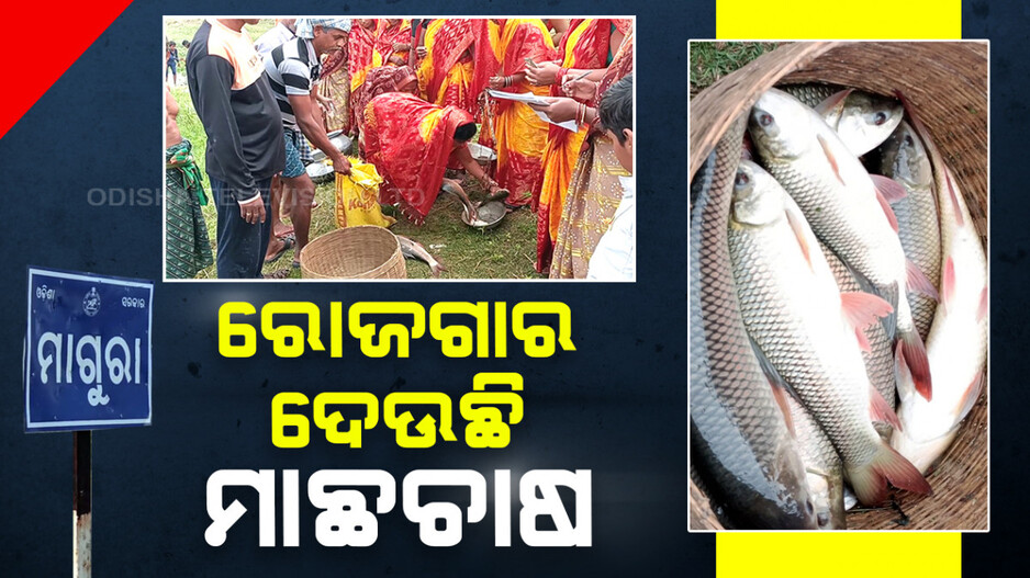 ସ୍ୱାବଲମ୍ବୀ ହେଉଛନ୍ତି ମହିଳା; ରୋଜଗାର ଦେଉଛି ମାଛଚାଷ