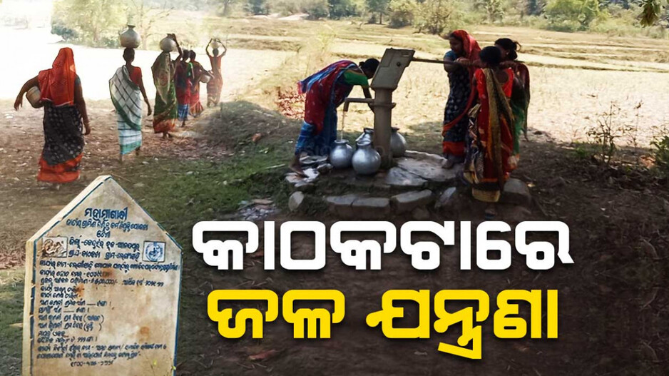 ପାଣି ଟୋପେ ପାଇଁ ହିନସ୍ତା କାଠକଟାବାସୀ