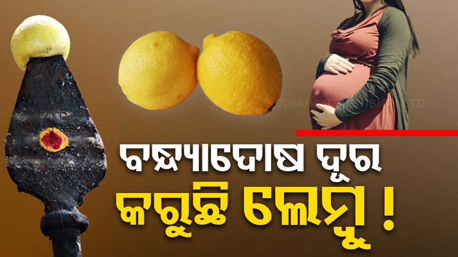 ଭଗବାନଙ୍କ ଉପରେ ଅତୁଟ ବିଶ୍ୱାସ...ଏଠାରେ ନିଲାମ ହେଉଥିବା ଲେମ୍ୱୁ ଖାଇଲେ ହେଉଛି ସନ୍ତାନ ପ୍ରାପ୍ତି !