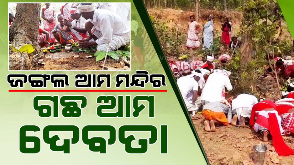 ଆଦିବାସୀଙ୍କ ନିଆରା ପର୍ବ ‘ଦିଶୁମ ବାଆ ବଙ୍ଗା’