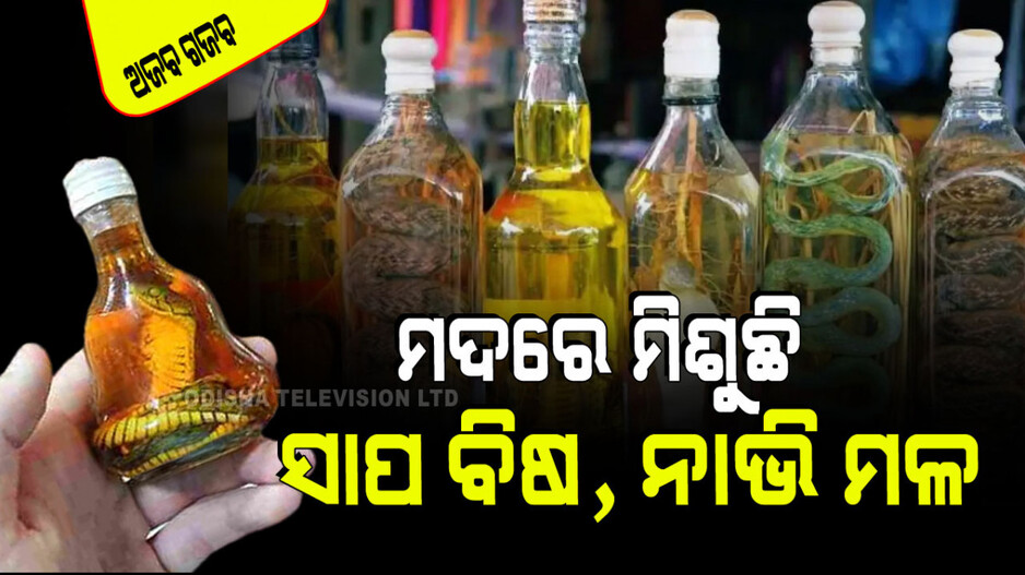 ଏମିତି ମଦକୁ ସାବଧାନ! ମାଙ୍କଡସା-ସାପ ବିଷରୁ ହେଉଛି ତିଆରି; ମିଶୁଛି ନାଭି ମଇଳା