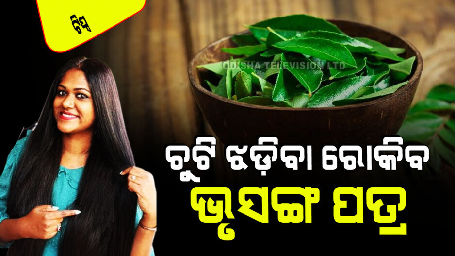 Hair Care Tips: ଭୃସଙ୍ଗ ପତ୍ରର କମାଲ; ବ୍ୟବହାର କରିବାର ୪ ଉପାୟ; ଚୁଟି ହେବ ଲମ୍ବା, ମୋଟା, ଚକ୍‌ଚକ୍