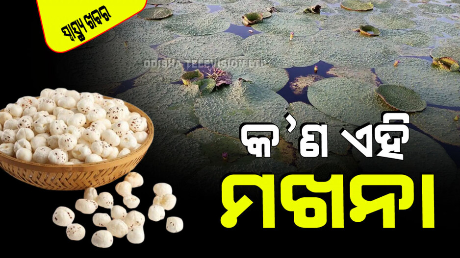 Nutrients: ବ୍ଲଡ୍ ପ୍ରେସର୍‌ ଓ ଡାଏବେଟିସକୁ ରୋକିବ ମଖନା; ଜାଣନ୍ତୁ କେମିତି ଖାଇବେ