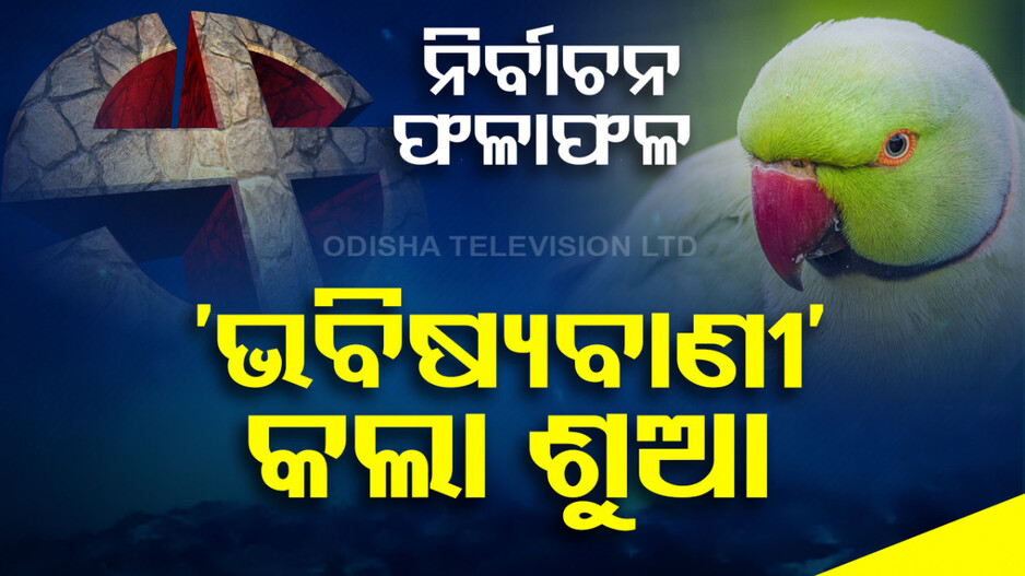 ଲୋକସଭା ନିର୍ବାଚନରେ ​​କିଏ ଜିତିବ ? 'ଭବିଷ୍ୟବାଣୀ' କଲା ଶୁଆ; ଅଡୁଆରେ ମାଲିକ...