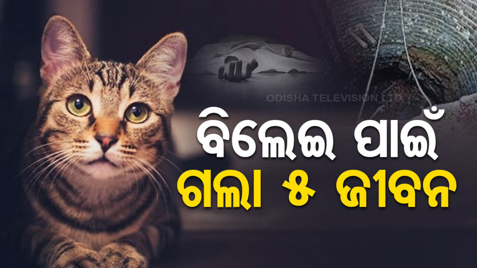 କୂଅରେ ପଡି ଛଟପଟ ହେଉଥିଲା ବିଲେଇ...ଉଦ୍ଧାର କରିବାକୁ ଯାଇ ଚାଲିଗଲା ୫ଜୀବନ