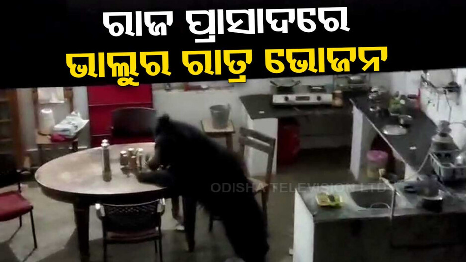 ନୂଆପଡ଼ାରେ ଭାଲୁ ଆତଙ୍କ... ରାଜ ମହଲରେ ପଶିଲା...ଡାଇନିଂ ରୁମ୍‌ରେ ଥିବା ଖାଦ୍ୟ ଖାଇଲା