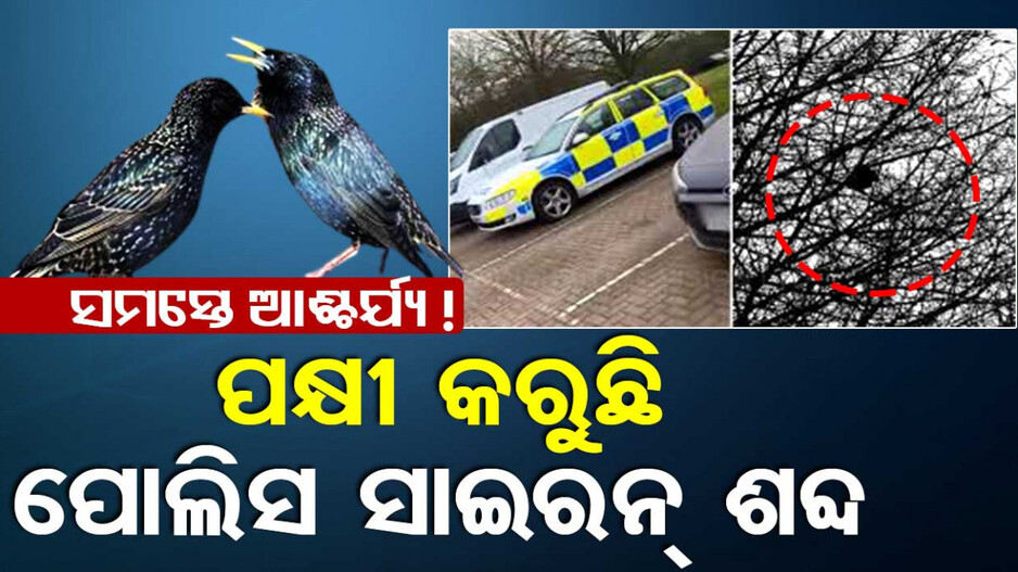 ହଠାତ ଶୁଭିଲା ପୋଲିସ ସାଇରନ୍; ଜାଣିବା ପରେ ସମସ୍ତେ ଚକିତ