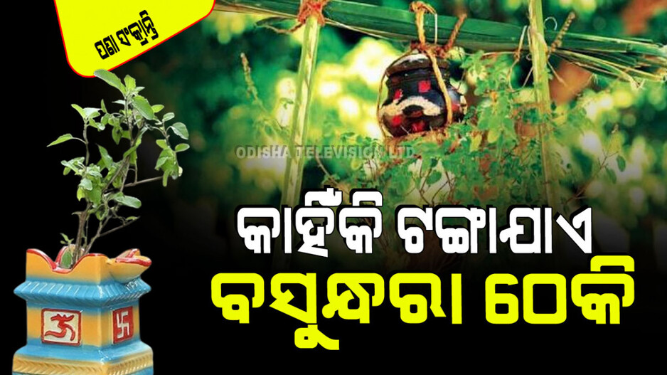 Pana Sankranti 2024: ପଣା ସଂକ୍ରାନ୍ତିରେ କାହିଁକି ଖିଆଯାଏ ଛତୁଆ, ପିଆଯାଏ ପଣା