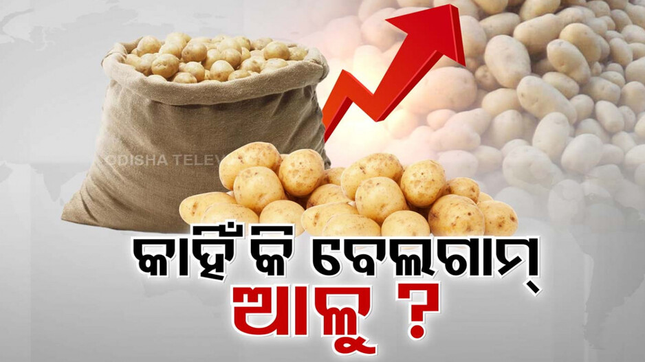 ରାଜ୍ୟକୁ ଏବେ ଘାରିଛି ଆଳୁ ଚିନ୍ତା, ୨ ସପ୍ତାହରେ ବଢ଼ିଲାଣି ୧୫ ଟଙ୍କା !