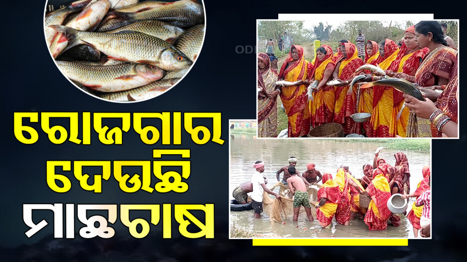 ମହିଳା SHG ଗ୍ରୁପକୁ ରୋଜଗାର ଦେଉଛି ମାଛଚାଷ