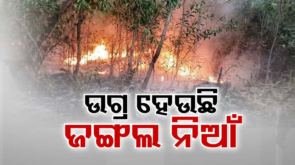 ଉଗ୍ର ହେଉଛି ଜଙ୍ଗଲ ନିଆଁ