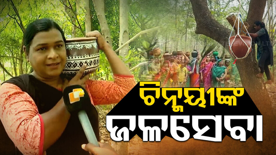 କିନ୍ନର ଚିନ୍ମୟୀଙ୍କ ମହତ ପ୍ରୟାସ; ପଶୁପକ୍ଷୀଙ୍କ ପାଇଁ ଜଙ୍ଗଲରେ ଖୋଲିଛନ୍ତି ଜଳଛତ୍ର