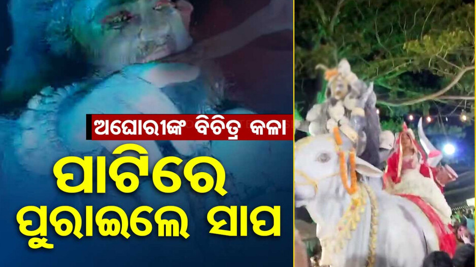 ବନ୍ୟଜନ୍ତୁ ସୁରକ୍ଷା ଆଇନର ଉଡ଼ିଲା ଧଜ୍ଜିଆ, ମେଳଣରେ ସାପ ଖେଳ ଦେଖାଇଲେ କଳାକାର