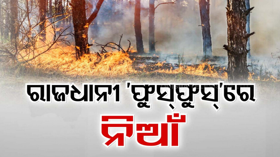 ନିଆଁ ଆଁରେ ଚନ୍ଦକା ଅଭୟାରଣ୍ୟ, ଯୁଆଡେ ଚାହିଁବେ ଖାଲି ନିଆଁ ଆଉ ଧୁଆଁ