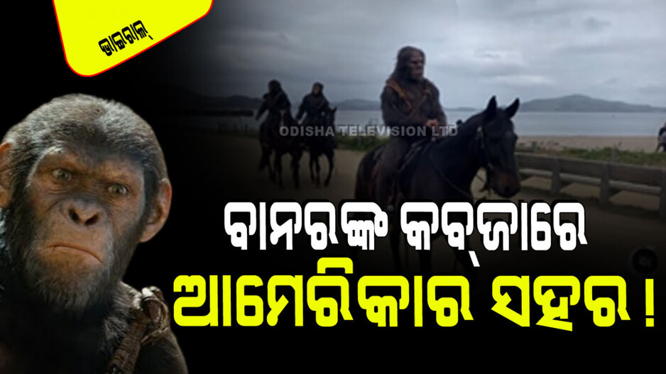 Viral Video: ଆମେରିକାର ସହରକୁ କବ୍‌ଜା କରିଛନ୍ତି ବାନର; ଘୋଡାରେ ବୁଲୁଛନ୍ତି!